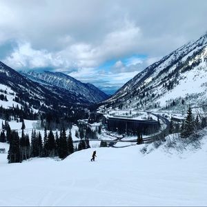 Meet your Posher, Joe